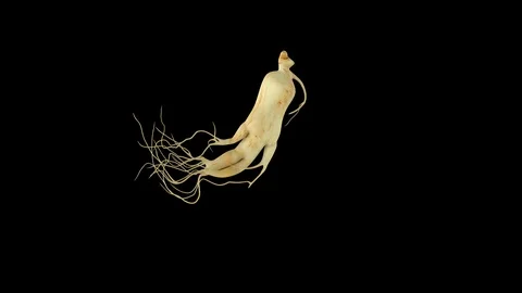 A 3D isolated Korean ginseng root Vidéo 120665364