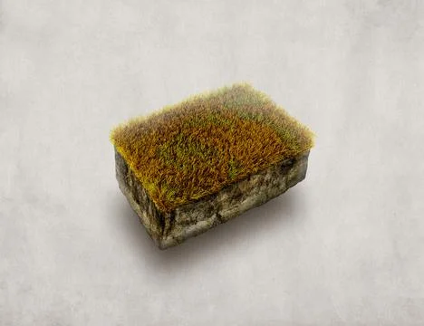 3D Isometric brown grass, soil section isolated in light background Stock Illustration