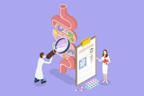 3D Isometric Flat Conceptual Illustration of Gut Health, Digestive Stomach... 스톡 사진