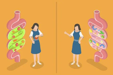 3D Isometric Flat Conceptual Illustration of Good And Bad Gut Bacterias, G... 스톡 사진