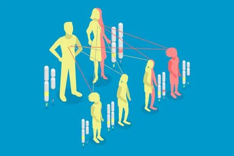 3D Isometric Flat Conceptual Illustration of Autosomal Recessive Inheritan... Stock Photos