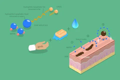 3D Isometric Flat Illustration of How Soap Works, Healthcare and Hygiene B... Stock Photos