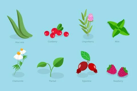 3D Isometric Flat Set von medizinischen Kräutern und Beeren, natürliche pf. Stock Photos