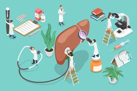 3D Isometric Flat Vector Conceptual Illustration of Liver Health. Stock Illustration