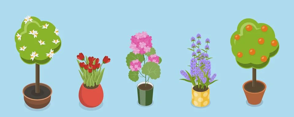 3D Isometric Flat Vector Set of Garden Flowers, Different Plants in Pots Stock Illustration