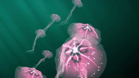 3D JELLYFISH UNDERWATER flock migration. ALPHA MATTE Stock Footage 39080760