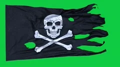 Animation of pirate flag closeup. Jolly , Stock Video