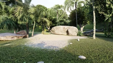 3d jungle camera animation Video stock 137090451