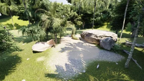 3d jungle camera animation Video stock 137090551