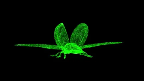3D Ladybug rotates on black background. Animal insects concept. Flying ladybug Stock Footage 249044431