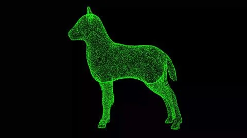 3D lamb on black background. Object made of shimmering particles. Wild animal Stockillustratie