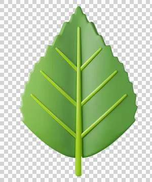 3D leaf birch in green color Stock Illustration