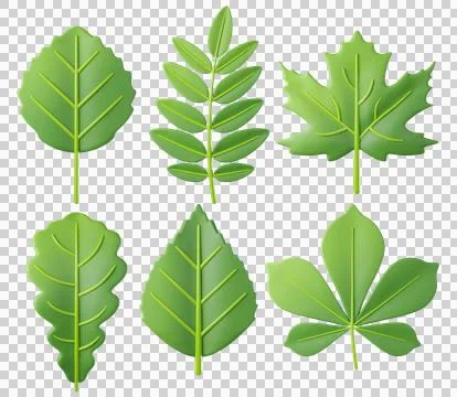 3D leaf collection with green leaves Stock Illustration