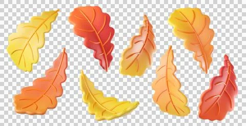 3D leaf oak Stock Illustration