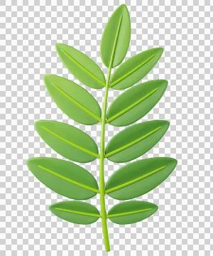 3D leaf rowan in green color Stock Illustration
