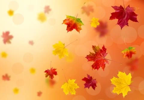 3D leaves Stock Photos