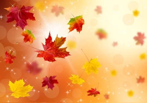 3D leaves Stock Photos