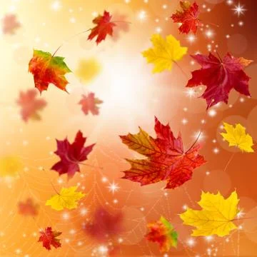 3D leaves Stock Photos