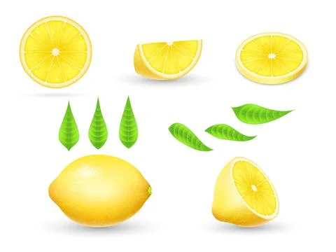 3d lemon slice, half and whole, green leaf, lemonade ingredient. Fruit juice or Illustrazione stock
