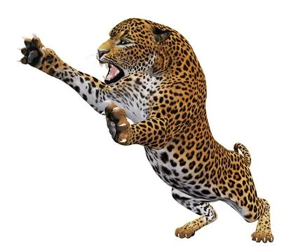 3D Leopard attacking Stock Illustration