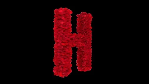 3D letter H made of red roses appearing and seamless turning Stock Footage 74739433