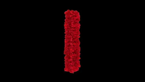 3D letter I made of red roses appearing and seamless turning Stock Footage 74738592