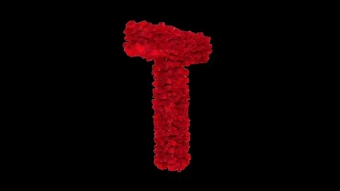 3D letter T made of red roses appearing and seamless turning Stock Footage 74738759