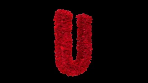 3D letter U made of red roses appearing and seamless turning Stock Footage 74929350