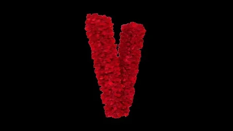 3D letter V made of red roses appearing and seamless turning Stock Footage 74739375