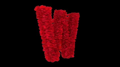 3D letter W made of red roses appearing and seamless turning Stock Footage 74739486