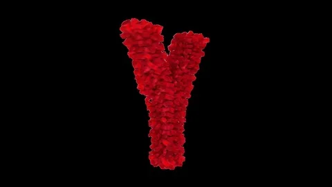 3D letter Y made of red roses appearing and seamless turning Stock Footage 74739183