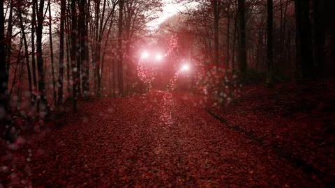 3d light streaks motion in red autumn colored forest Video stock 337662979