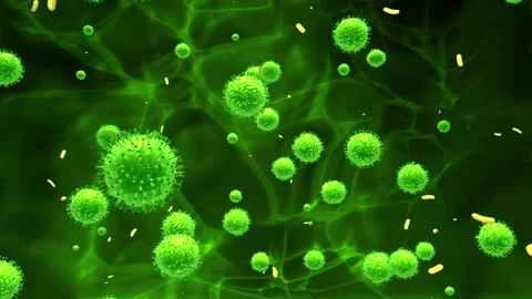 3D loop animation floating micro organism virus bacteria germ cell flu particle Video stock 317132523