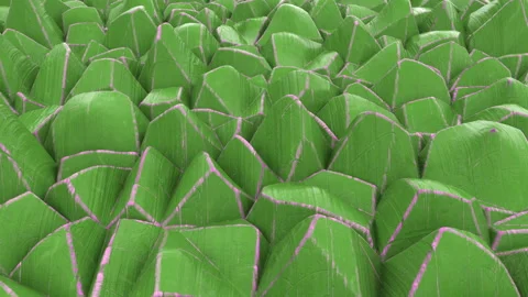 3d Looped abstract background consisting of sharp worn wooden pieces or sharp st Stock Footage 118813755