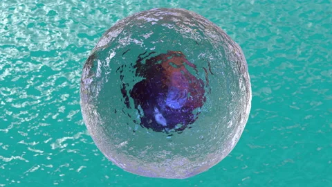 3D Looped animation of eukaryotic cell movement on a blue background. Stock Footage 122109000