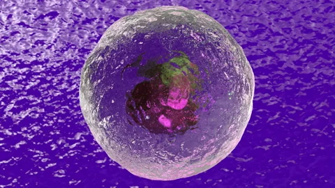 3D Looped animation of eukaryotic cell movement on a purple background. Stock Footage 122109103