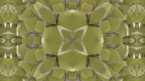 3d Looped kaleidoscopic background consisting of sharp worn wooden pieces or sha Stock Footage 118815079