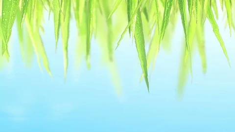 3D looping UHD animation of the ripples on the reflecting water surface Stockbeeldmateriaal 89420369