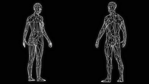 3d low poly rotating female and male figure formed by white lines Video stock 142863126