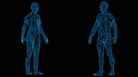3d low poly rotating female and male figure formed by blue lines Stock Footage 142863180
