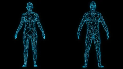 3d low poly rotating female and male figure changing color Stock Footage 306328183