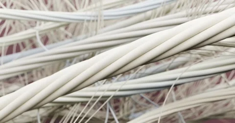 3D macro image is a complex organic structure consisting of many thin, yello Stock Footage 333769624