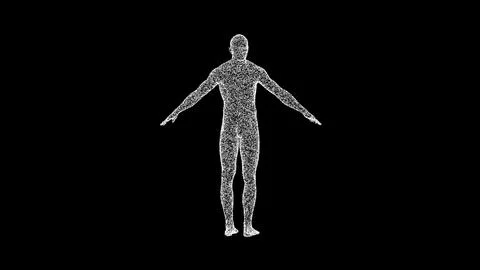 3D man body model consisting of particles and dots rotates its axis 60 FPS... Illustrazione stock