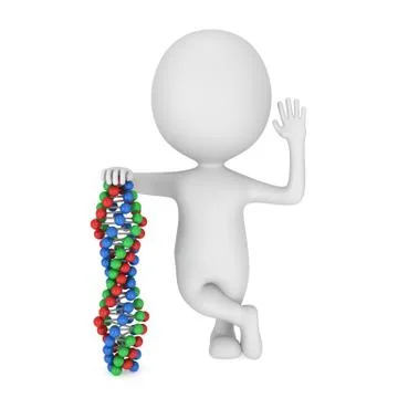 3d man with DNA chain on white. 스톡 일러스트