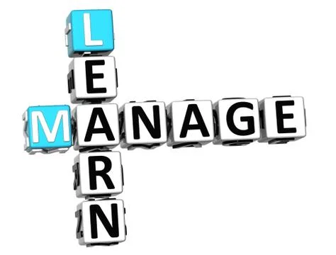 3d manage learn crossword Illustrazione stock