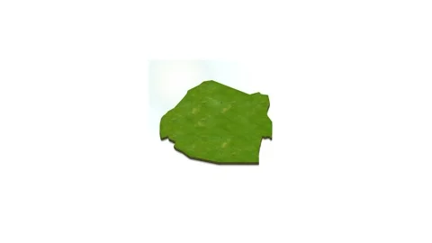 3D map illustration of ESwatini Stock Footage 156610075