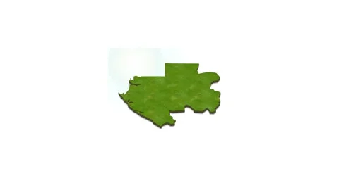 3D map illustration of Gabon Stock Footage 156610412