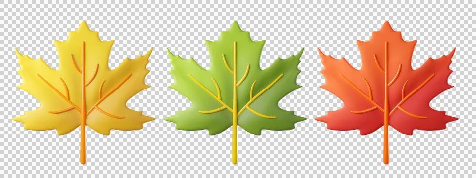 3D maple leaf icon in yellow, green and orange red Stock Illustration