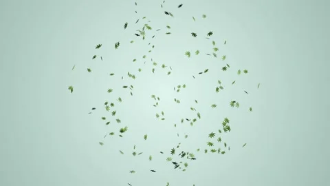 3D marijuana flying with alpha matte Video stock 130890607