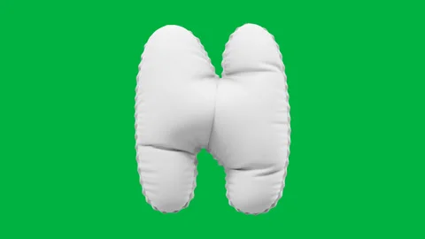 3D Matte White balloon Letter N animation Stock Footage 264815327